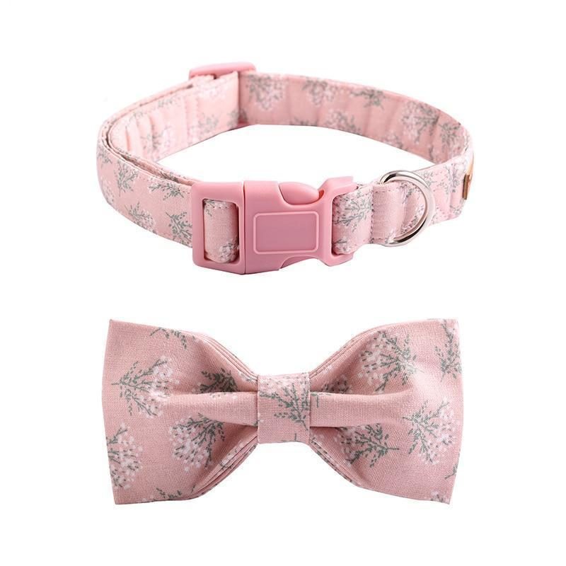 Le Joli Ensemble De Collier Et Laisse Pour Animaux De Compagnie Rose