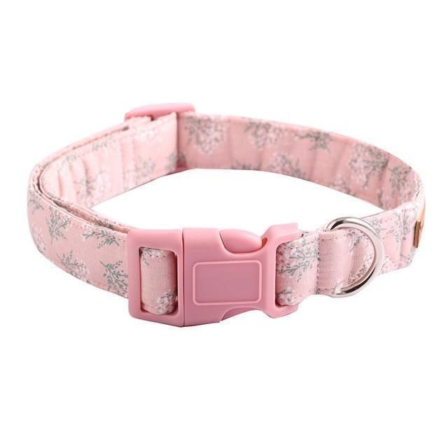 Le Joli Ensemble De Collier Et Laisse Pour Animaux De Compagnie Rose