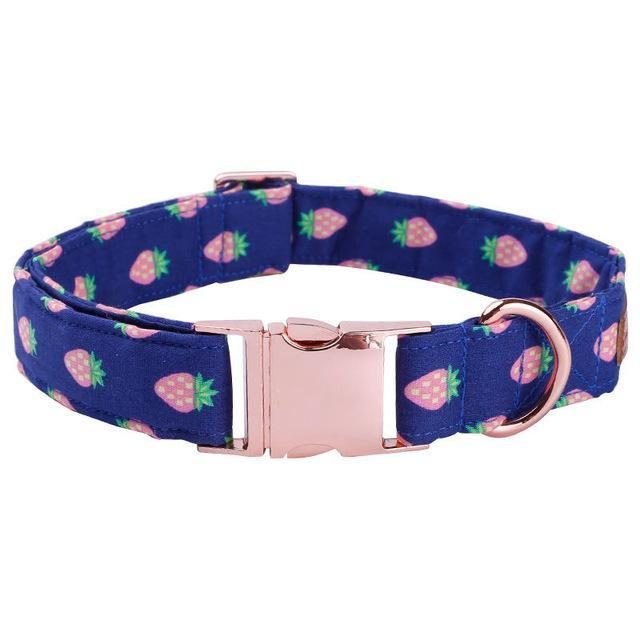 L'ensemble De Collier Et Laisse Pour Animaux De Compagnie À La Fraise