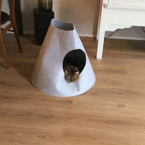 Lit De Maison De Jeu De Chat Avec Des Jouets Pendant