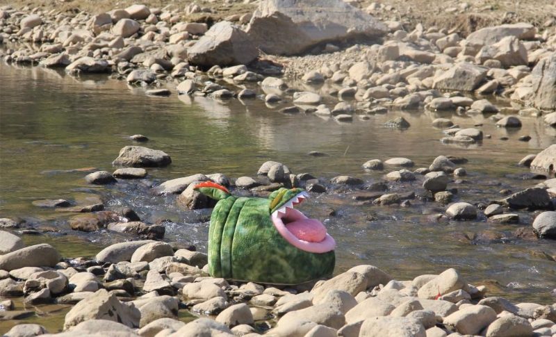 Lit De Maison Pour Animaux De Compagnie En Crocodile Avec Coussin Amovible Et Fond Imperméable