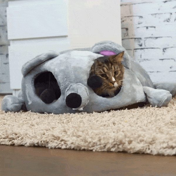 Lit De Maison Pour Chat Souris Avec Coussin Amovible Et Fond Imperméable