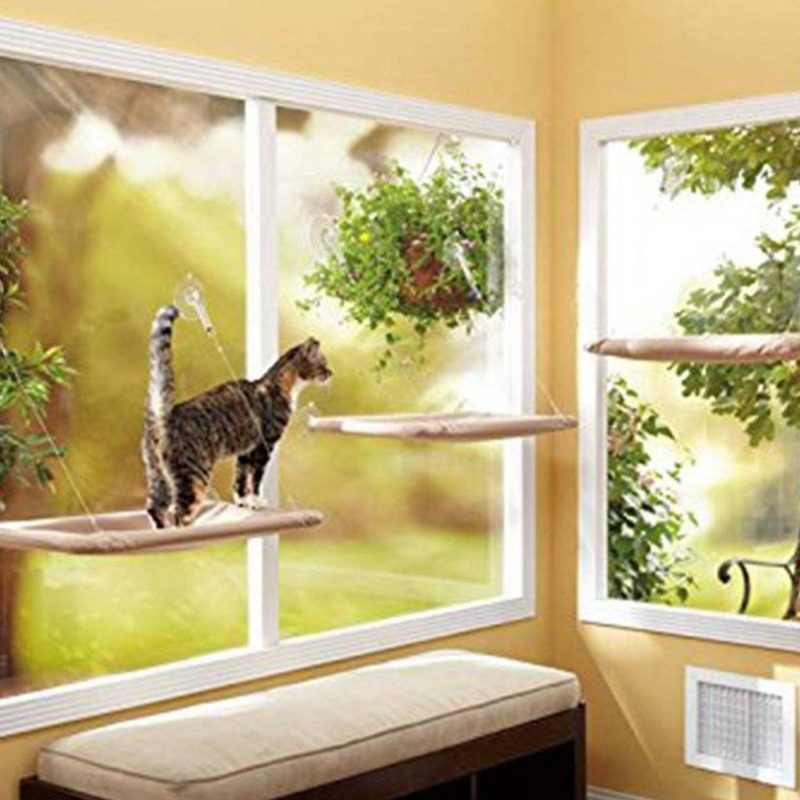 Lit Monté Sur La Fenêtre Pour Animaux De Compagnie
