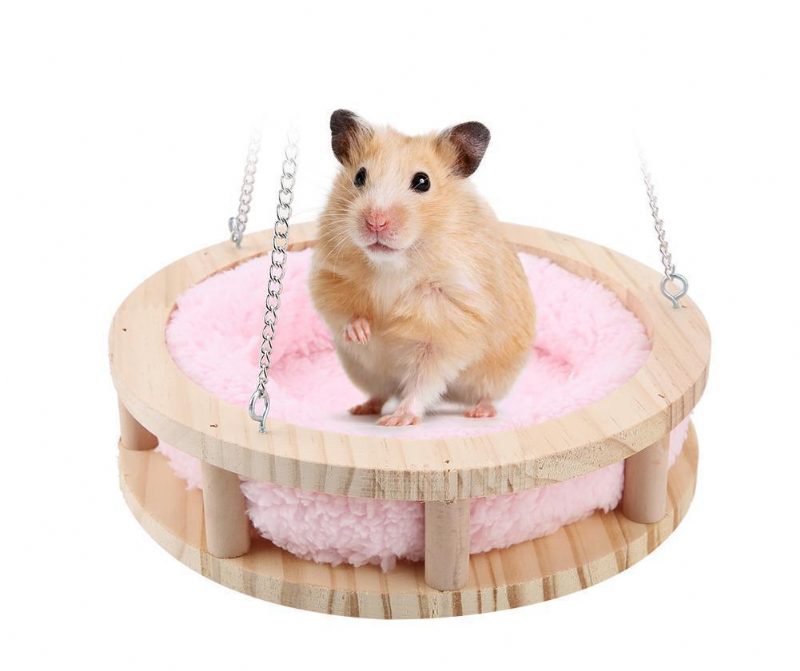 Lit Suspendu Pour Hamster