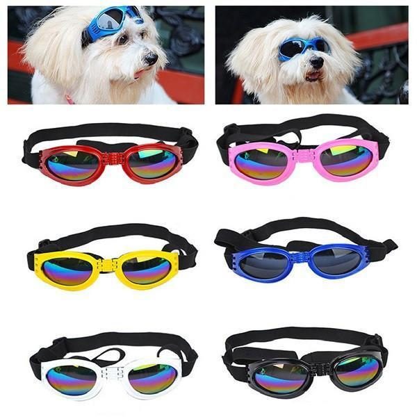 Lunettes De Protection Des Yeux Pour Chien