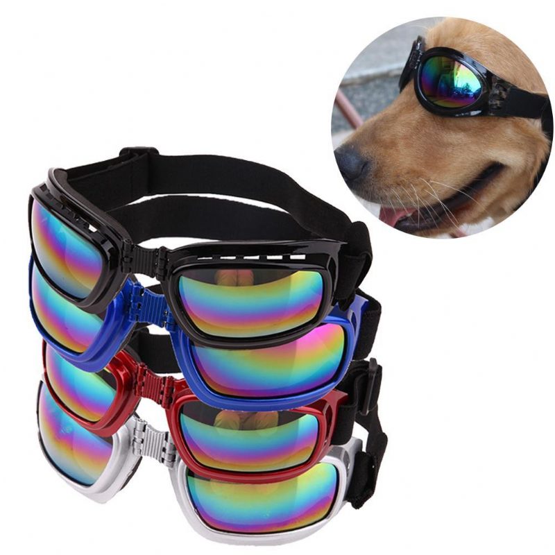 Lunettes De Soleil Cool Pour Animaux De Compagnie