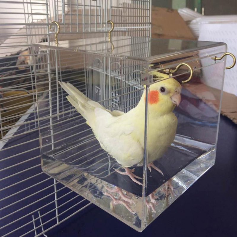 Maison De Bain Transparente Pour Oiseaux Pour Animaux De Compagnie Avec Crochets Suspendus