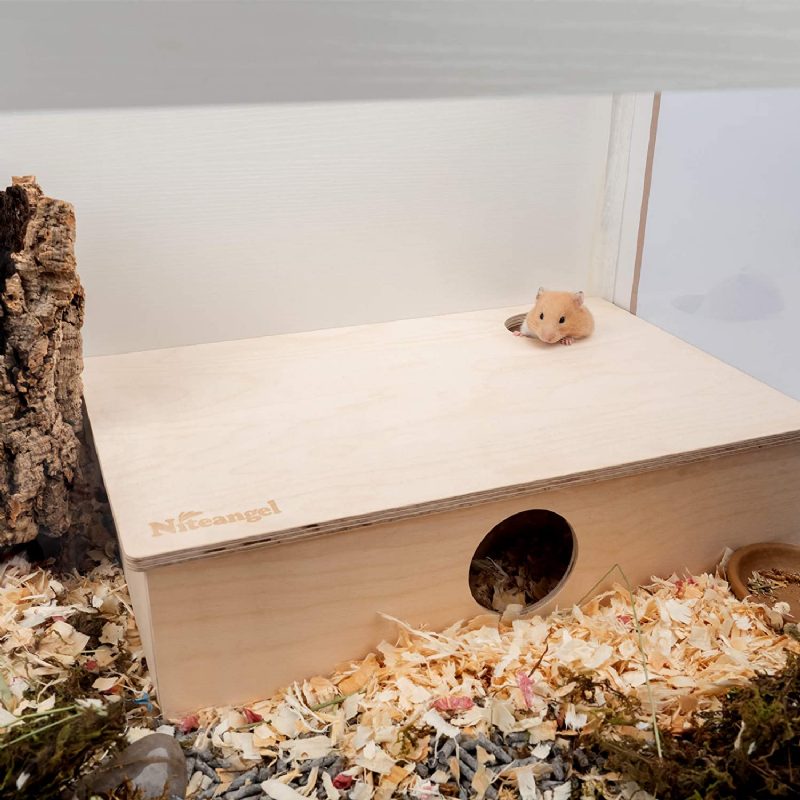 Maison De Hamster À Plusieurs Chambres