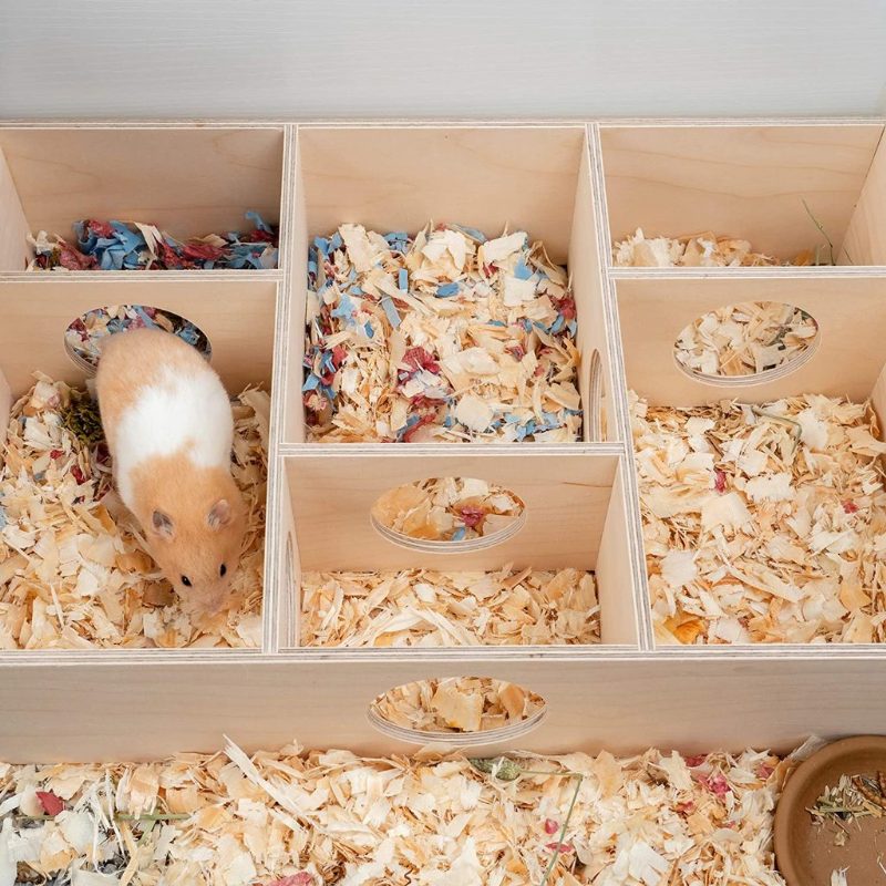 Maison De Hamster À Plusieurs Chambres