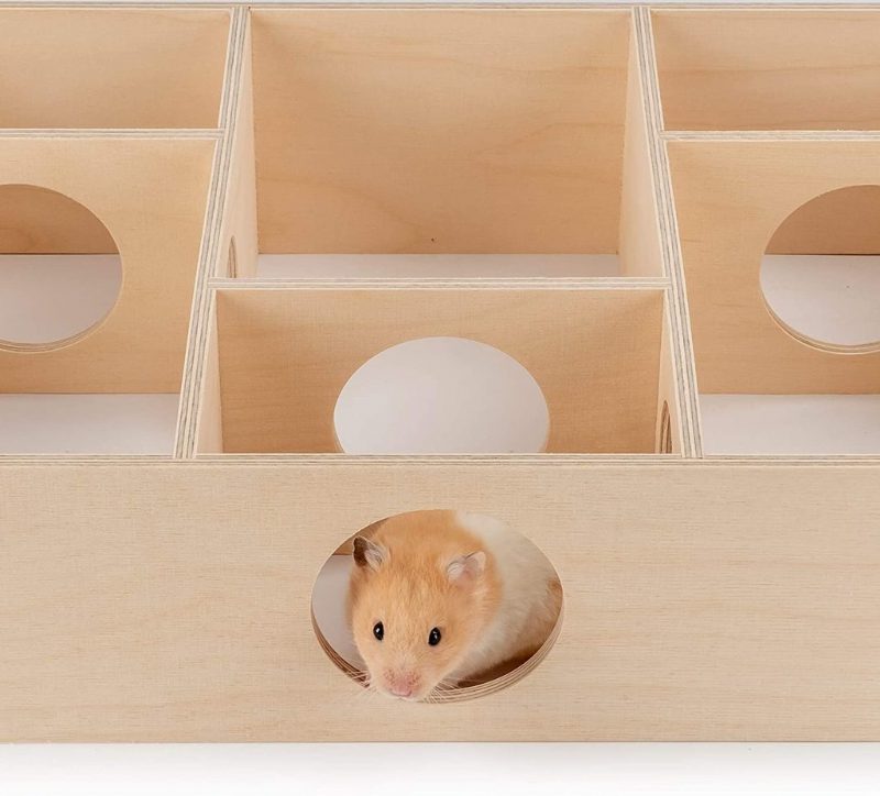 Maison De Hamster À Plusieurs Chambres