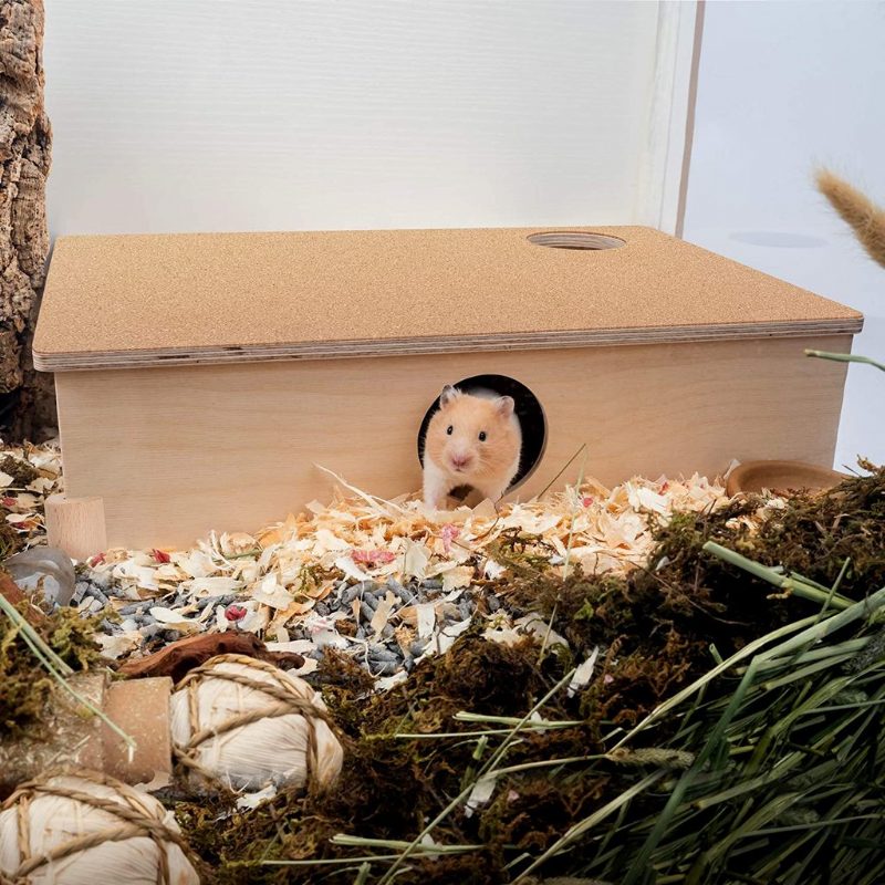 Maison De Hamster À Plusieurs Chambres