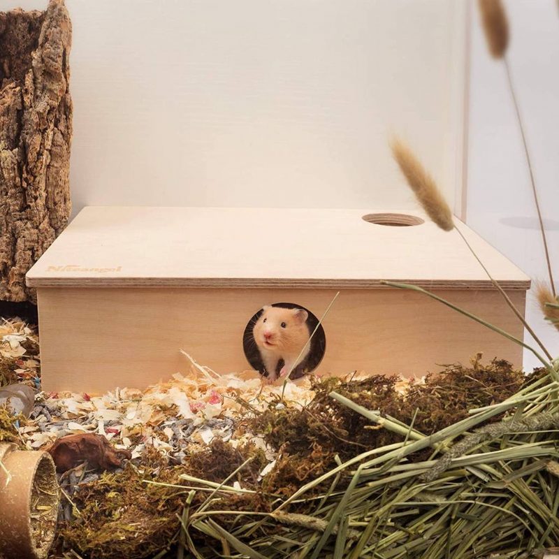 Maison De Hamster À Plusieurs Chambres