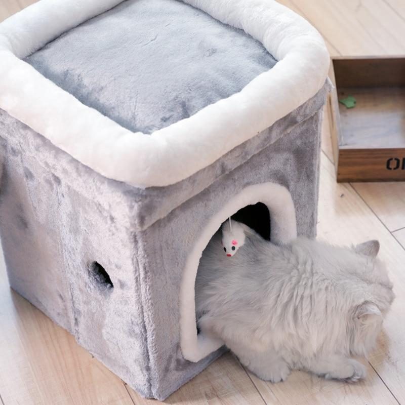 Maison De Jeu De Chat