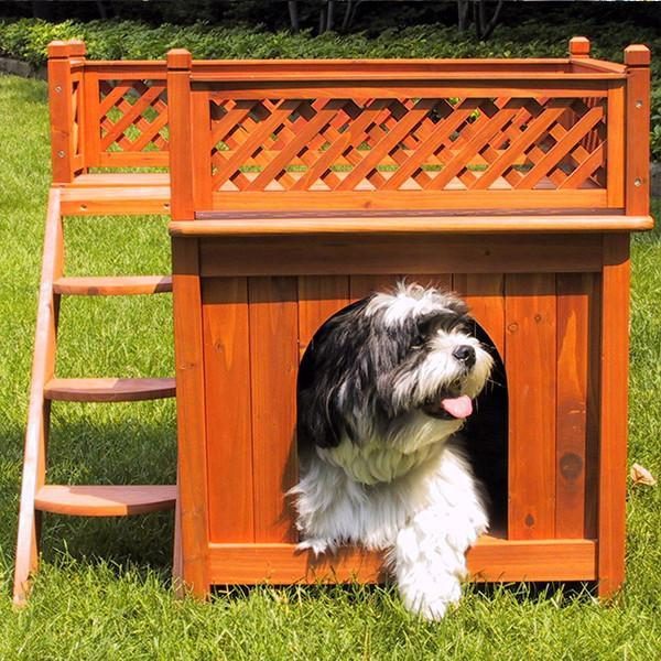 Maison Pour Animaux De Compagnie En Bois - Chambre Avec Vue