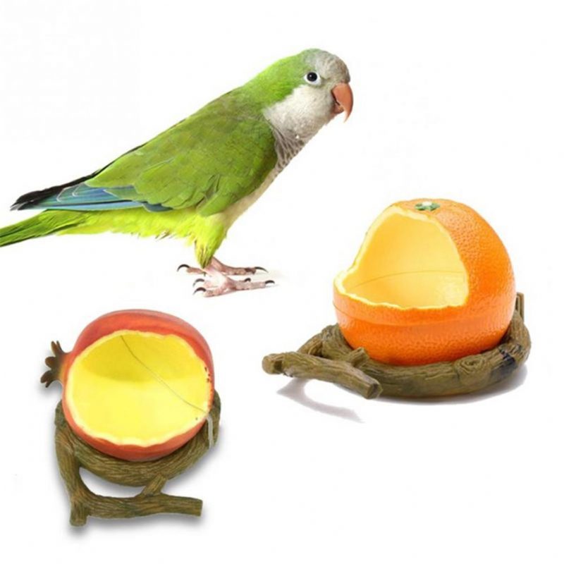 Mangeoire À Oiseaux En Forme De Fruits