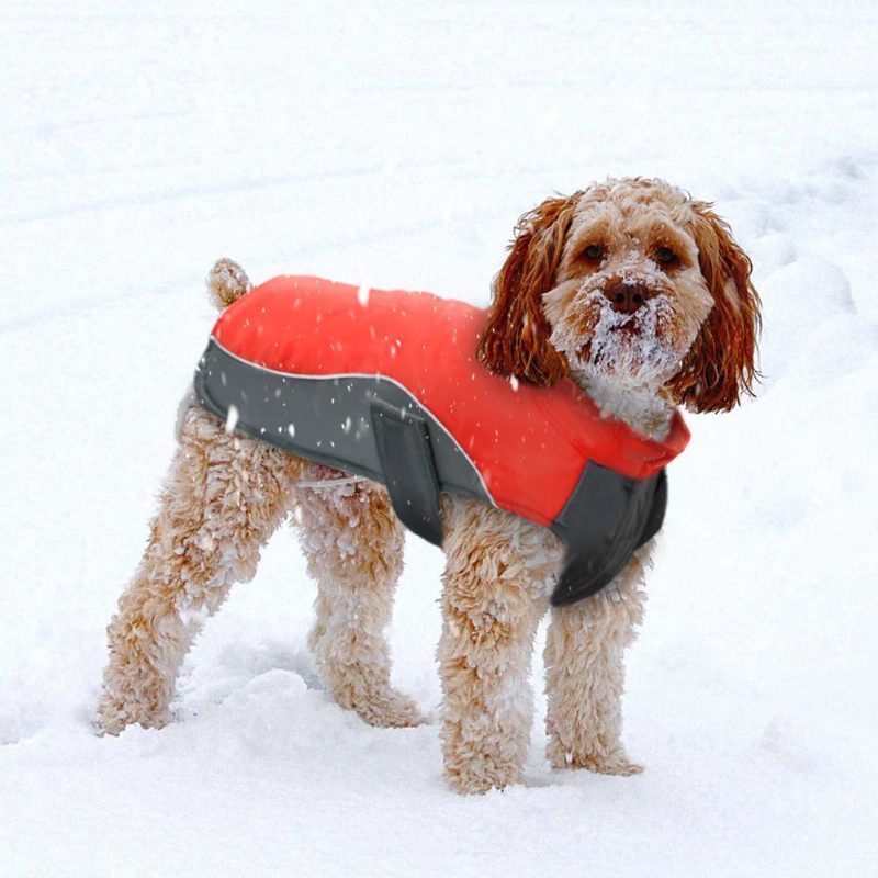 Manteau De Gilet De Veste Chaude Et Imperméable Pour Chien