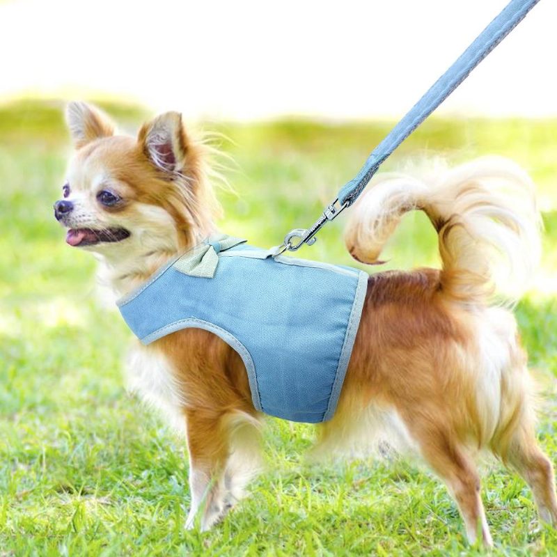 Mignon Ensemble De Laisse Harnais Pour Animaux De Compagnie