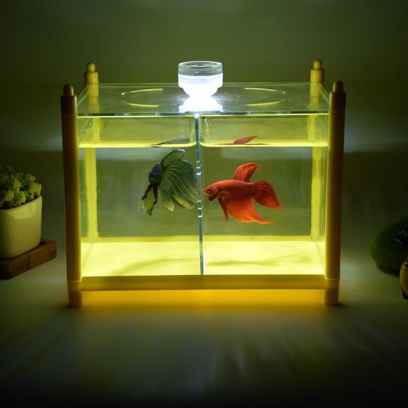 Mini Aquarium En Verre À Led