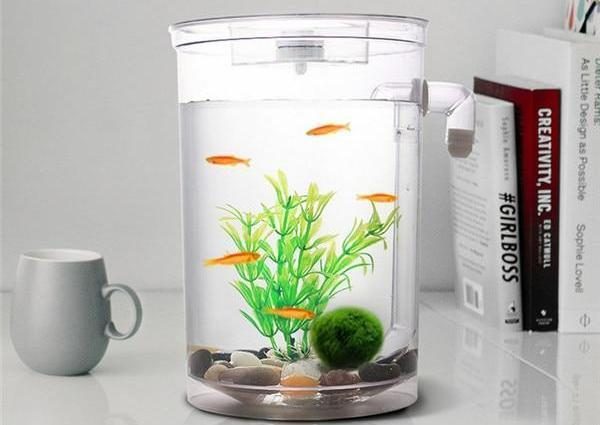 GCSEY Robot Poisson Aquarium mignon en silicone Décoration de poisson Lapin  Rond Artificiel Poisson Flotté sous-marin Décoration de paysage 3 pièces :  : Animalerie