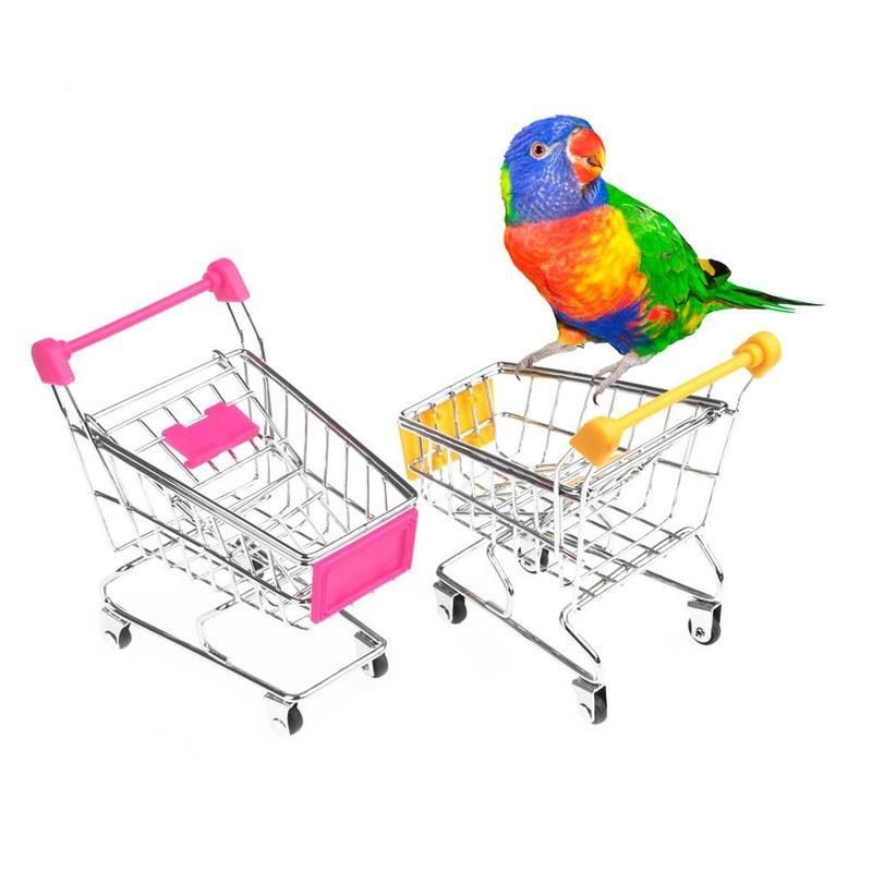 Mini-supermarché Panier D'achat Jouet Oiseau Formation