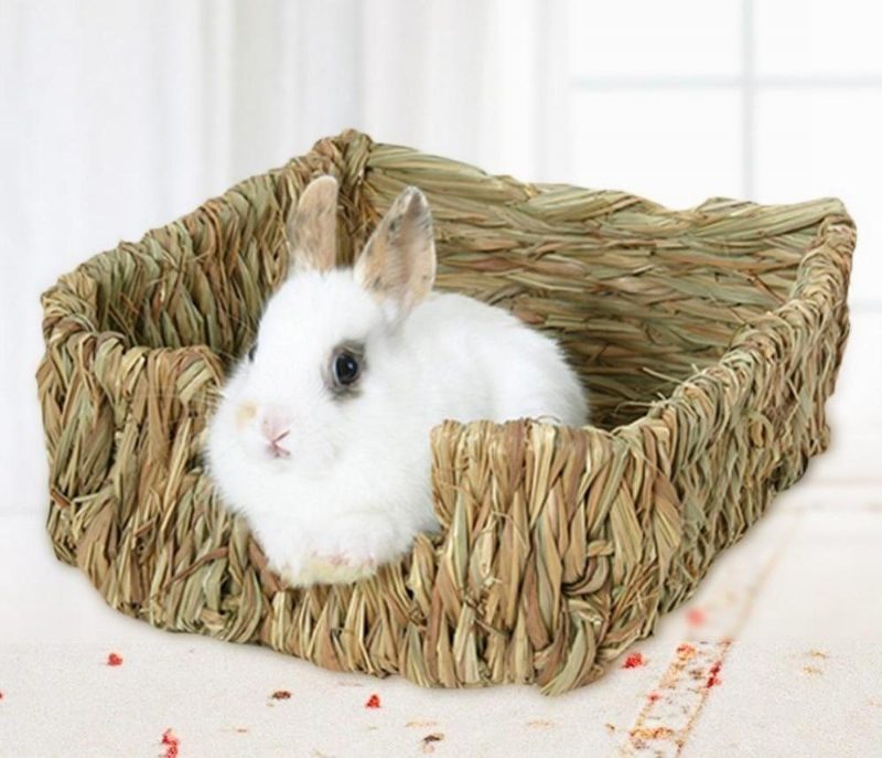 Nid De Lapin En Herbe Tissée