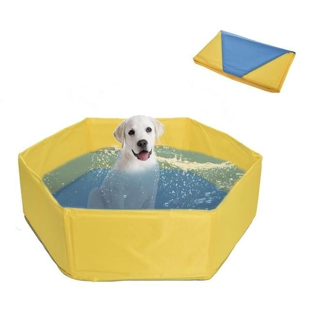 Piscine Extérieure Pour Animaux De Compagnie