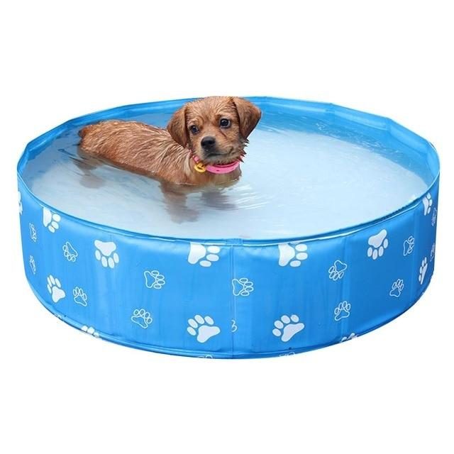 Piscine Pour Animaux De Compagnie Portable D'été