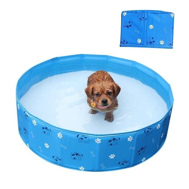 Piscine Pour Animaux De Compagnie Portable D'été