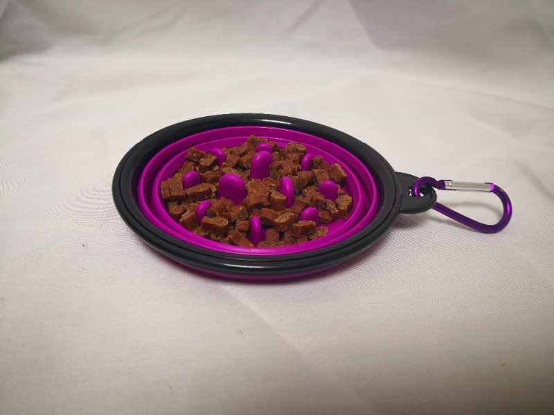 Plat D'alimentation Pliable Pour Animaux De Compagnie