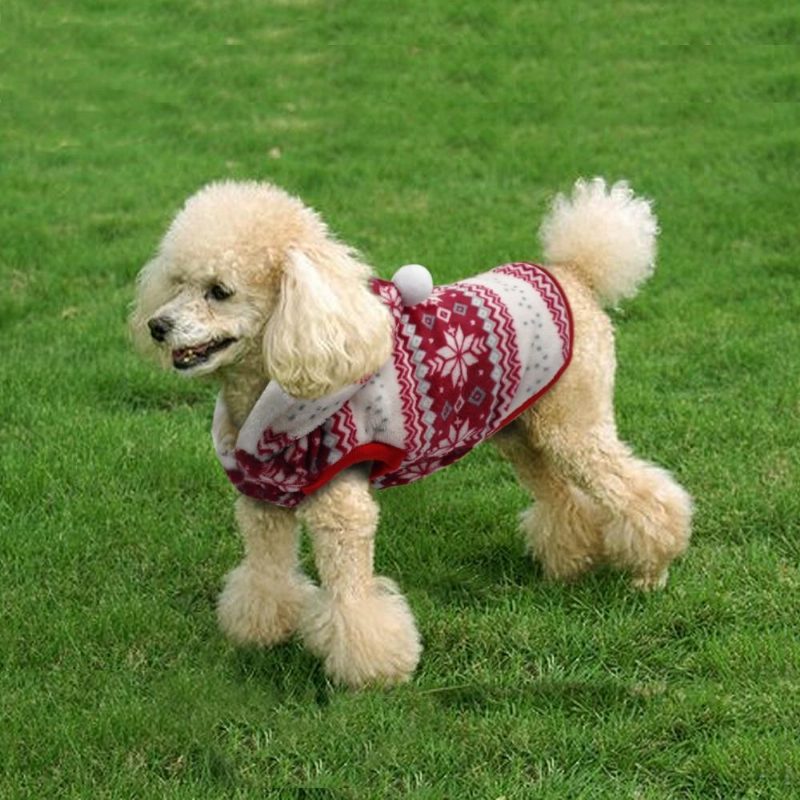 Pull À Capuche De Noël À Imprimé Flocon De Neige Pour Animaux De Compagnie