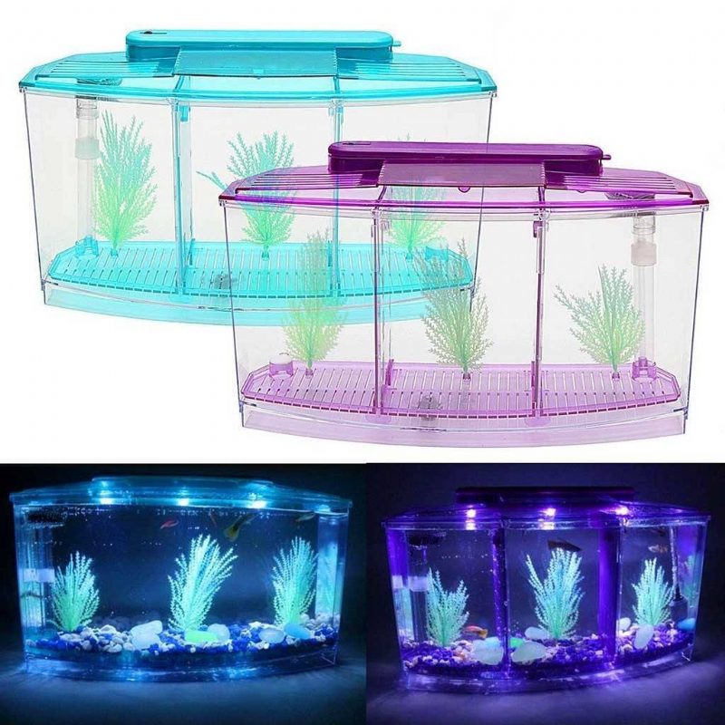 Réservoir De Poissons De Diviseur De Lumière Led