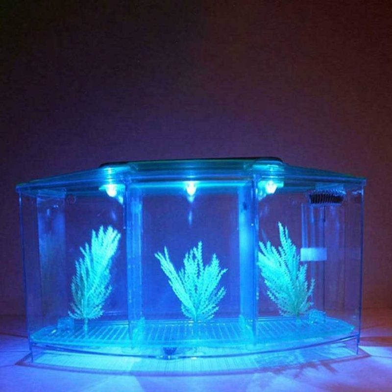 Réservoir De Poissons De Diviseur De Lumière Led