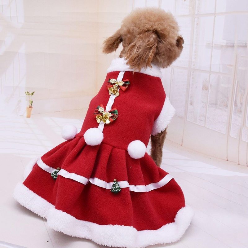 Robe De Noël Pour Animaux De Compagnie