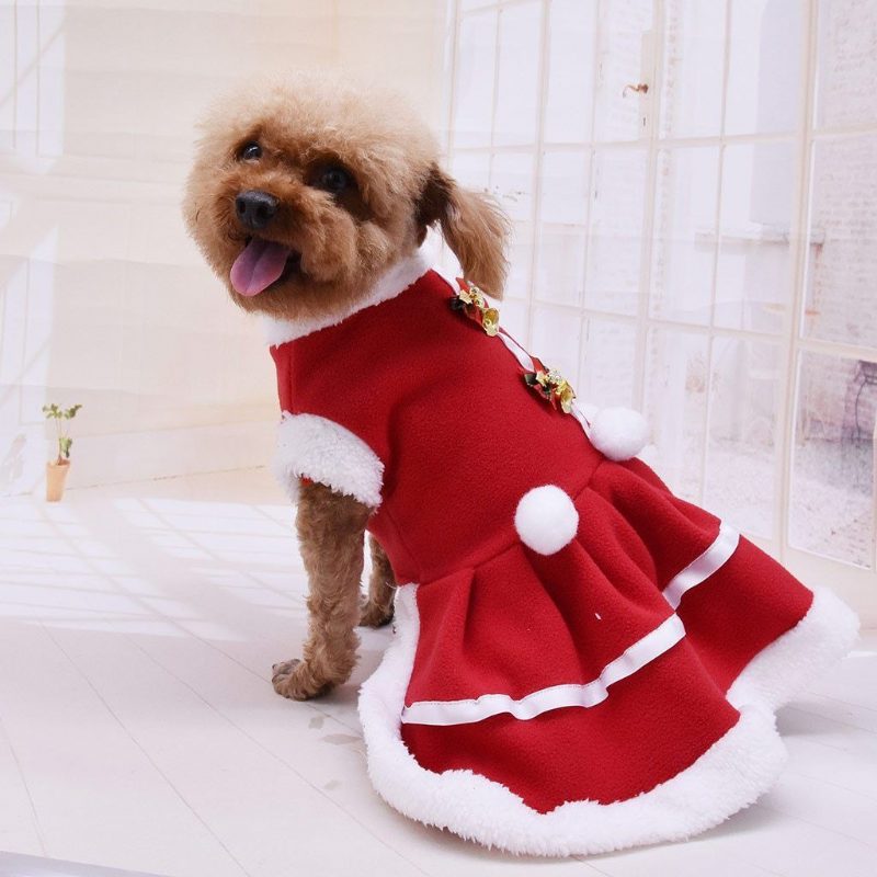 Robe De Noël Pour Animaux De Compagnie