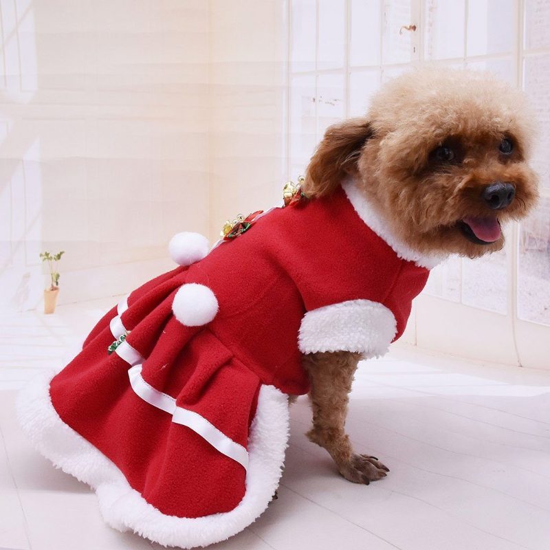 Robe De Noël Pour Animaux De Compagnie