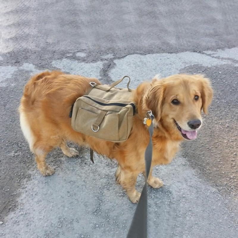 Sac À Dos De Voyage Pour Chien Sac De Selle