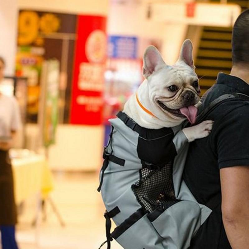 Sac À Dos D'extérieur Pour Animaux De Compagnie