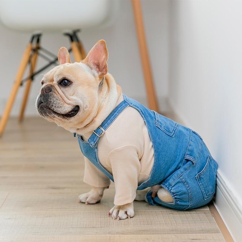 Salopette Pour Chien En Denim