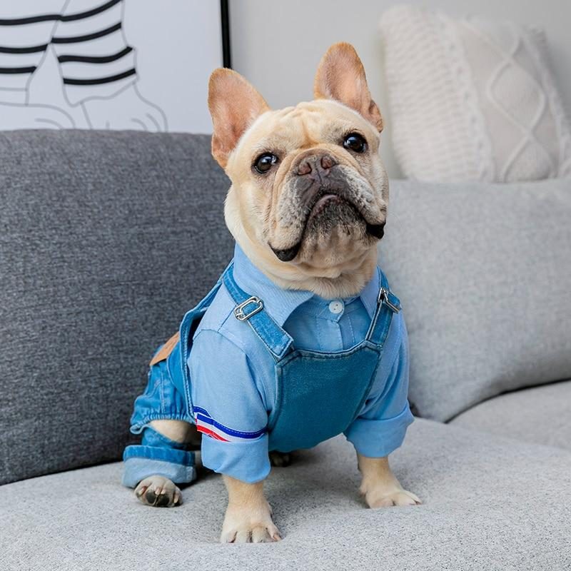 Salopette Pour Chien En Denim