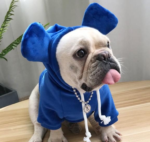 Sweat À Capuche Pour Animaux De Compagnie Et Propriétaire