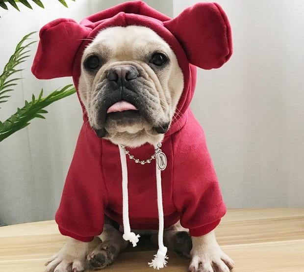 Sweat À Capuche Pour Animaux De Compagnie Et Propriétaire