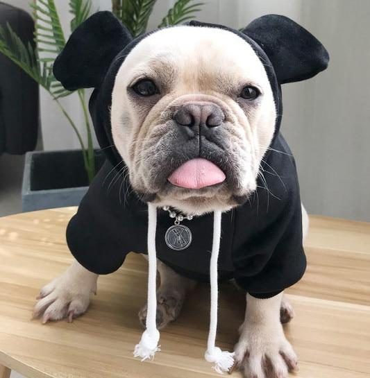 Sweat À Capuche Pour Animaux De Compagnie Et Propriétaire