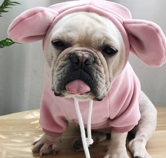 Sweat À Capuche Pour Animaux De Compagnie Et Propriétaire