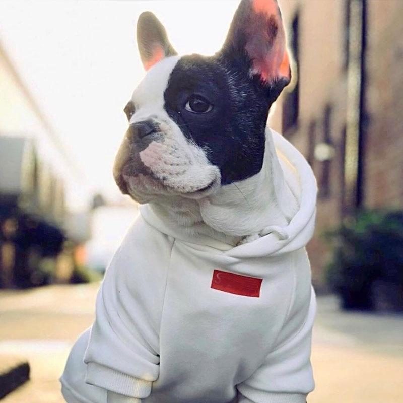 Sweats À Capuche Classiques Pour Chiens Avec Cordon De Serrage