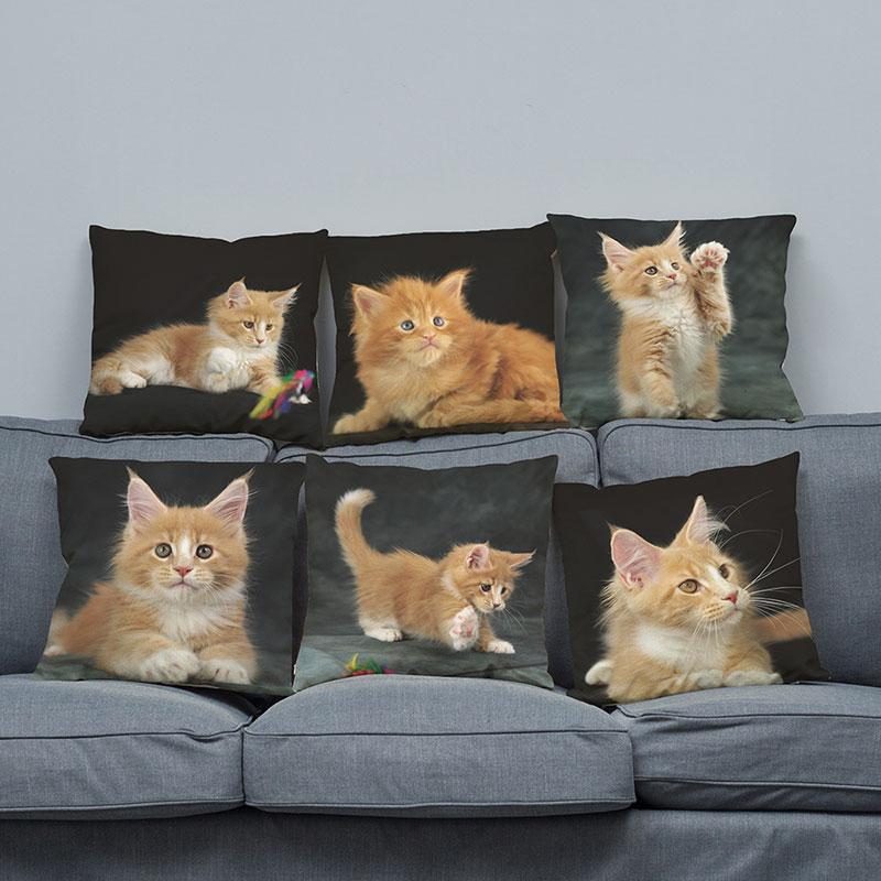 Taie D'oreiller Coussin Chat Doux