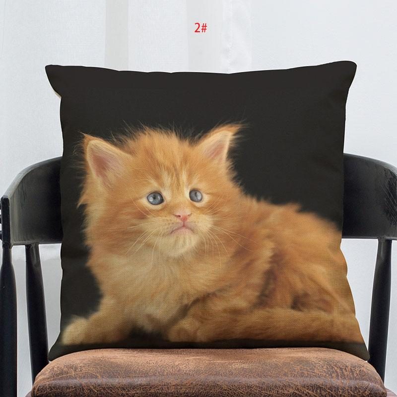 Taie D'oreiller Coussin Chat Doux