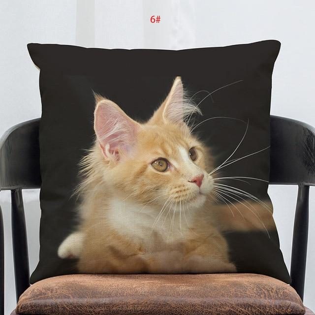 Taie D'oreiller Coussin Chat Doux