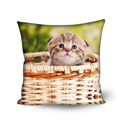 Taie D'oreiller De Coussin De Conception De Chat Décoratif Mignon