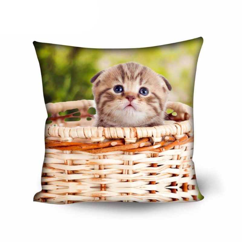 Taie D'oreiller De Coussin De Conception De Chat Décoratif Mignon