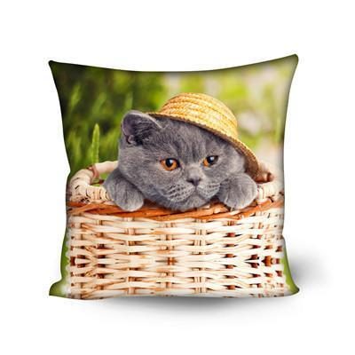 Taie D'oreiller De Coussin De Conception De Chat Décoratif Mignon